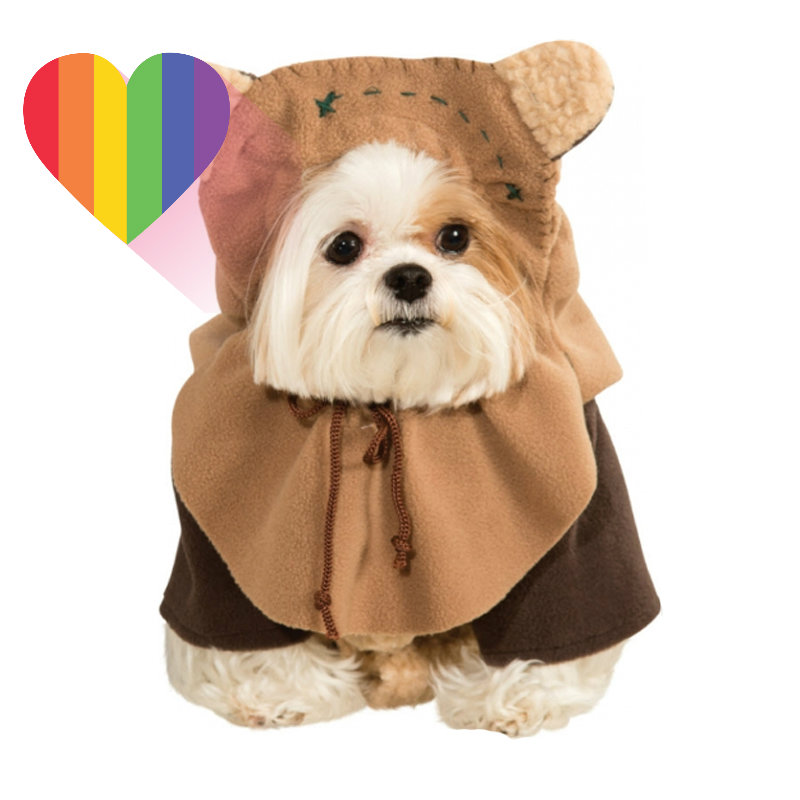 dog-clothes.jpg